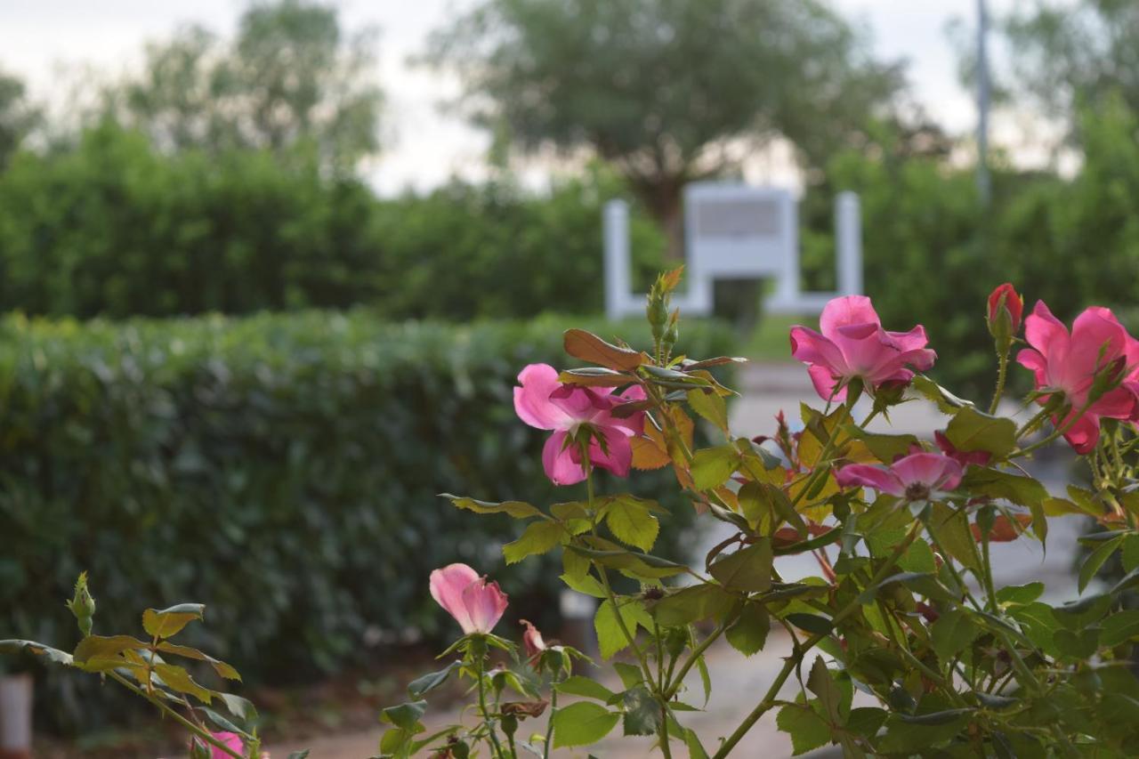 Agri-Resort Luxury Farm Marigliano Buitenkant foto